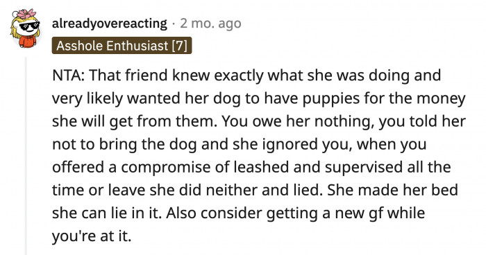 Could Taylor have planned everything to make a profit out of the puppies?