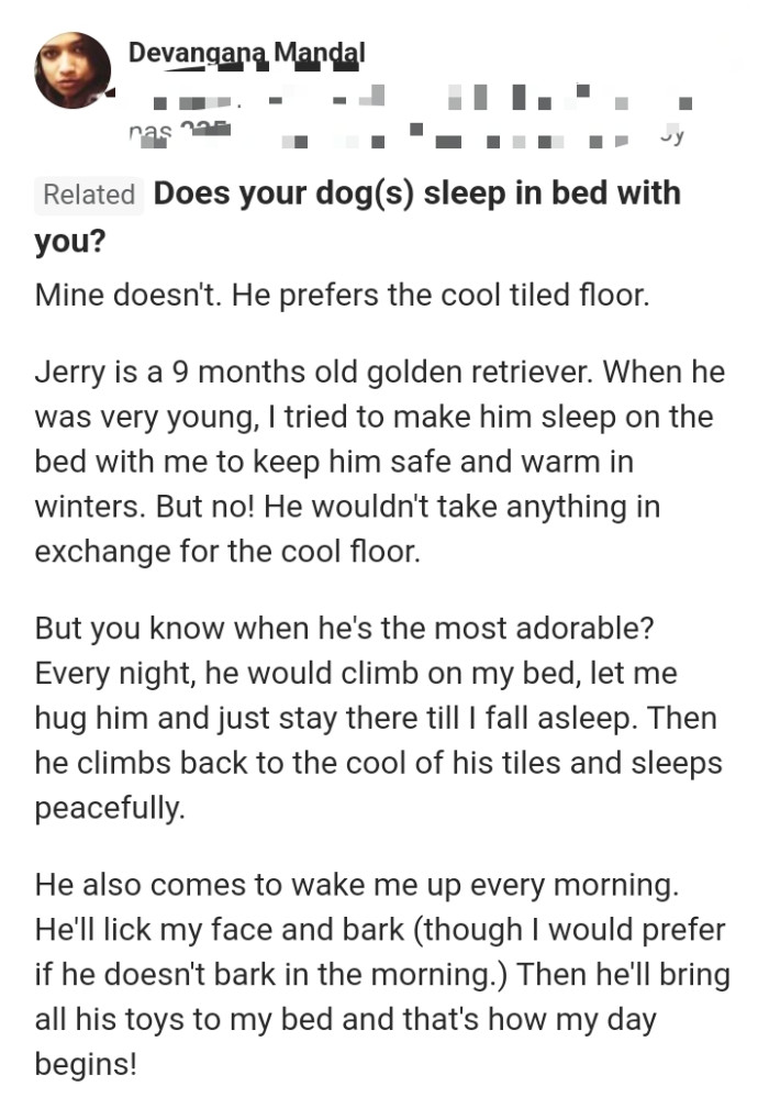 10. Their dog prefers sleeping on the cool tiled floor