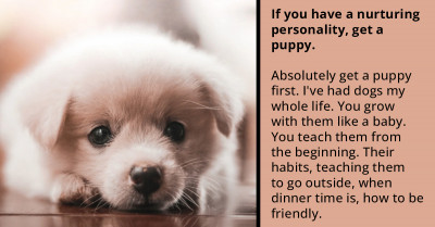 Dog Lovers Weigh In On What's Best For A First-Time Pet Owner - Puppy Or Adult Dog