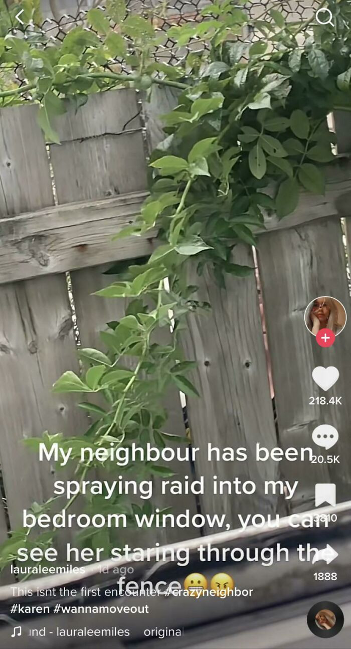 12. Woman’s Neighbor Sprays Raid, Peeks Through The Slits In The Fence…