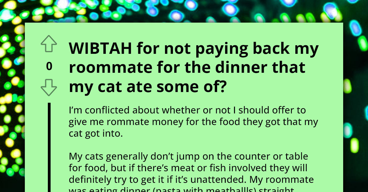 Reddit Debates On Should The Cat Owner Pay The Roommate Back For The Food Their Cat Ate