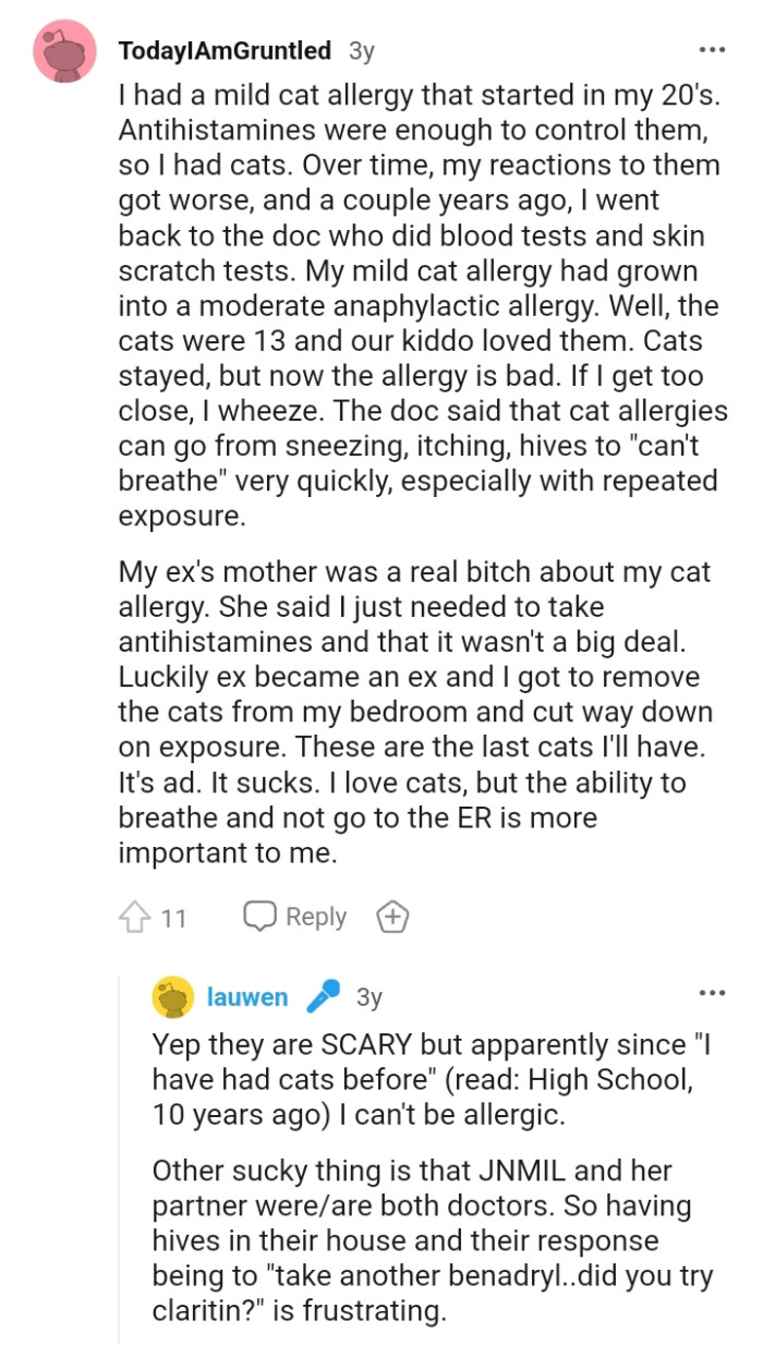 Lady Gets Accused By Mother-In-Law Of Faking Her Cat Allergies ...