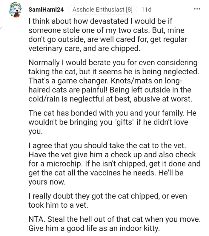 Redditor Asks For Advice On Whether To Steal Neighbor's Cat While Moving, As They Think He's