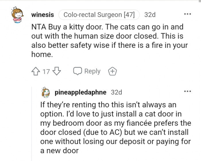 11. Buying a kitty door