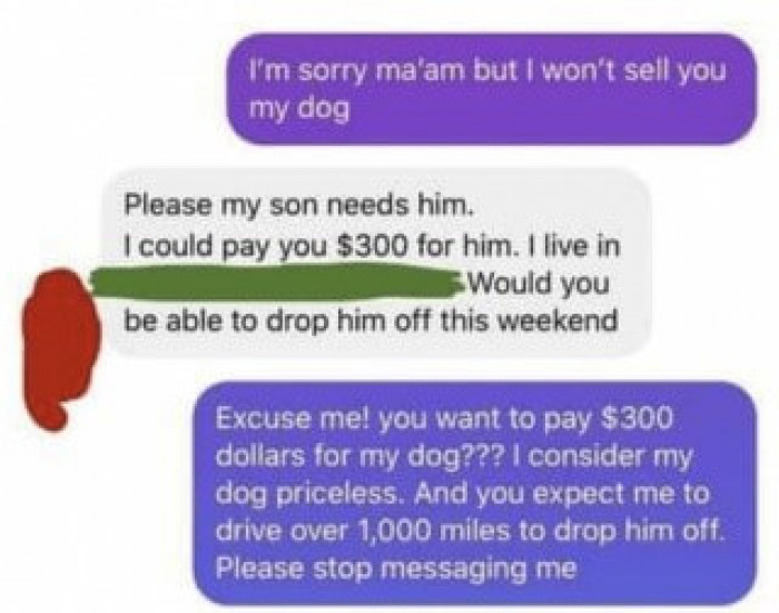 Redditor Posts Screenshots Of Entitled Karen, Who Tried To Buy Service