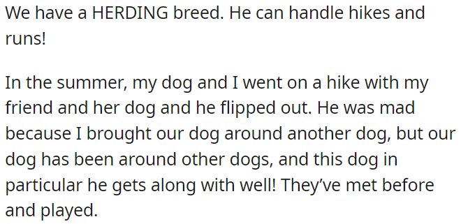 Her boyfriend was furious when he found out that she took him for a walk with another dog.