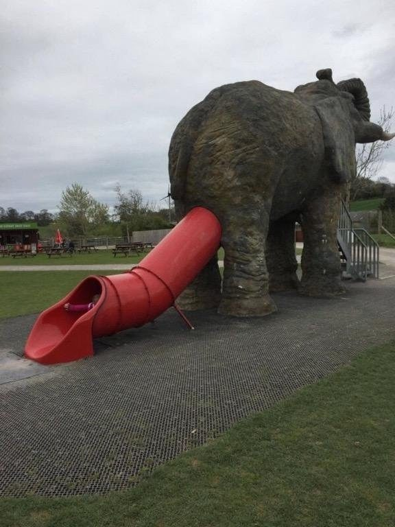 Did the slide really have to be placed on the elephant's butt?