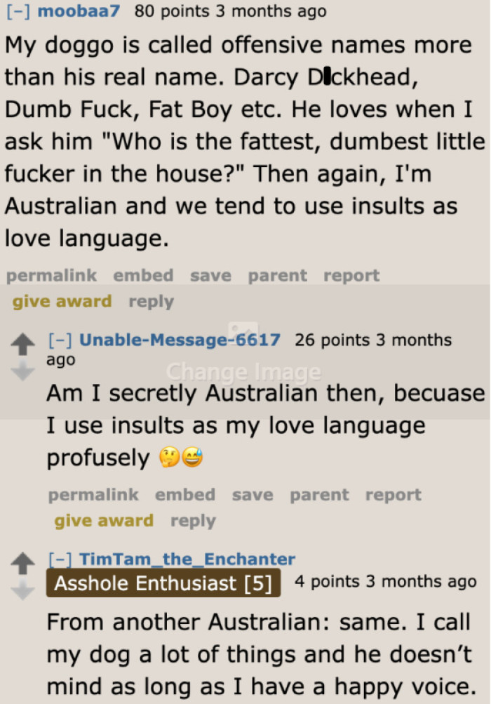 A Redditor confesses that they use their pet's nasty nicknames over the given name.