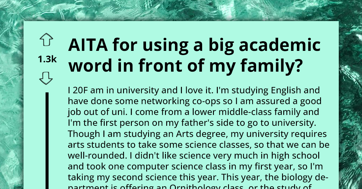 Undergraduate Uses Big Academic Word In Front Of Her "Non-Educated" Family, Cousin Accuses Her Of Showing Off