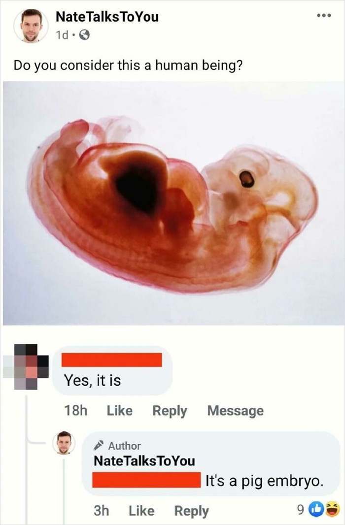 2. 