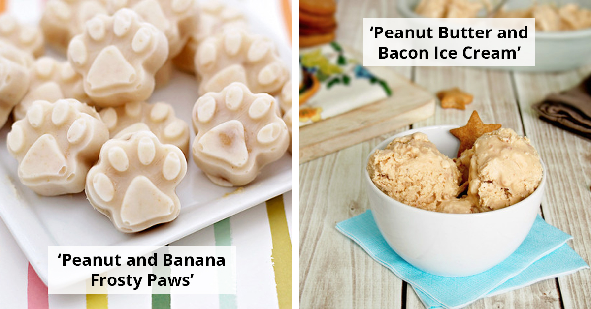 12 Drool-Worthy Ice Cream Recipes For You And Your Pup To Enjoy Together