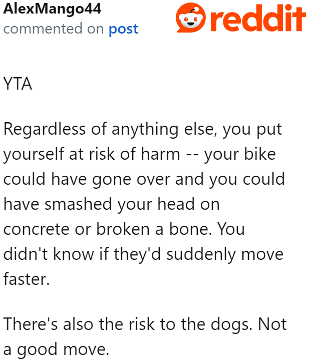 The OP doesn't realize that they not only risked themselves, but also the dogs and owner.