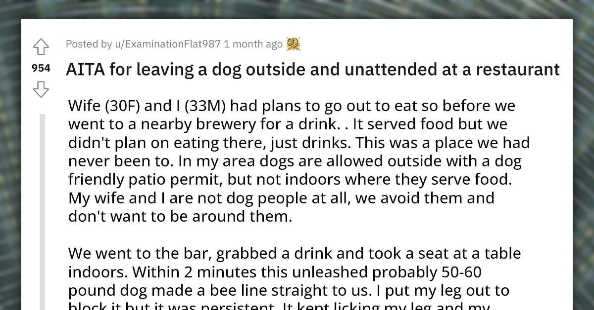 Redditor Takes Unattended Dog That Kept Licking Them Out Of The Restaurant, Gets Yelled At By The Owner Later