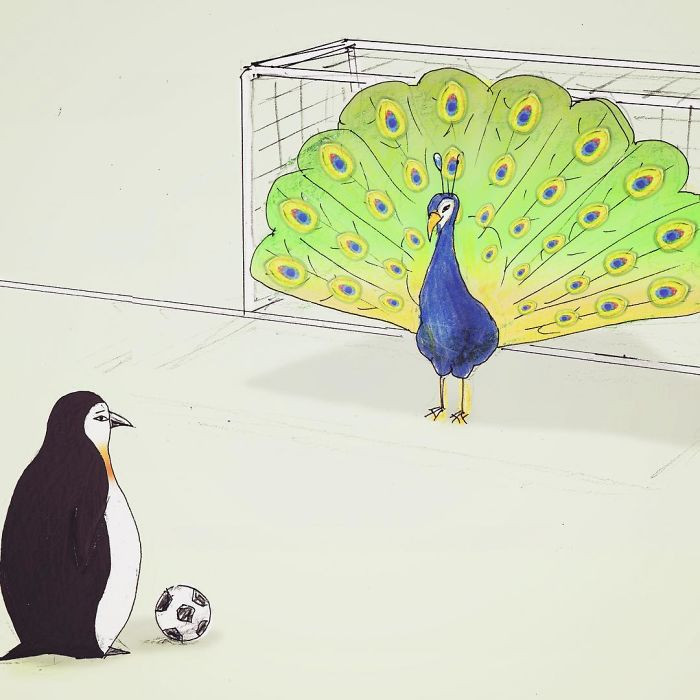 5. Apparently, peacocks make great goalkeepers