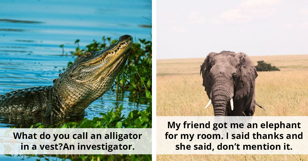 Get Ready To Laugh As People Share The Funniest Jokes They've Ever Heard
