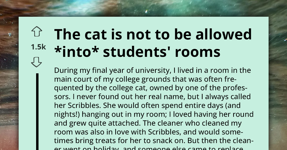 university-issues-ban-on-cats-in-student-dorms-prompting-clever-acts