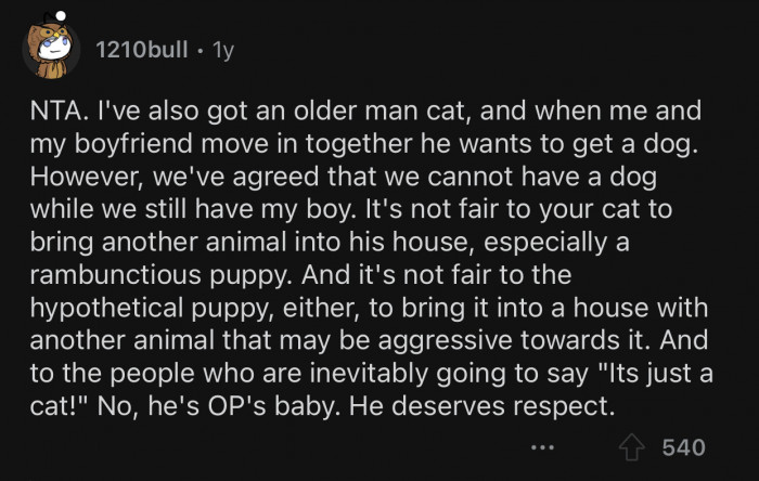 It wouldn't be fair to the hypothetical puppy either.