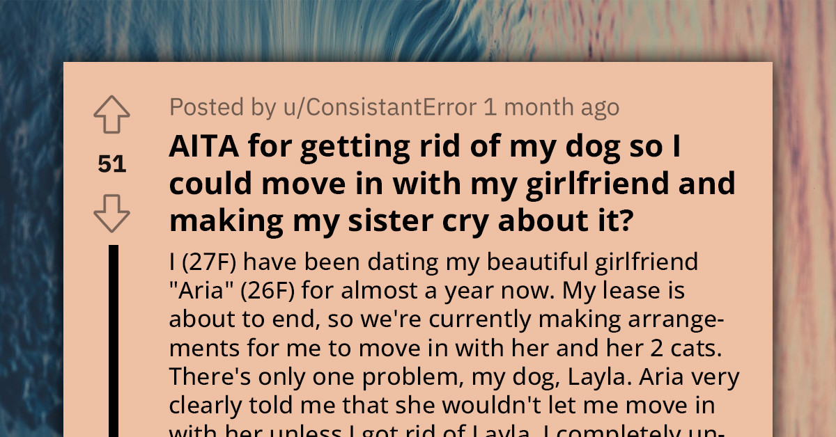 Reddit Calls Out Woman For Returning Her Large Breed Dog To Shelter To