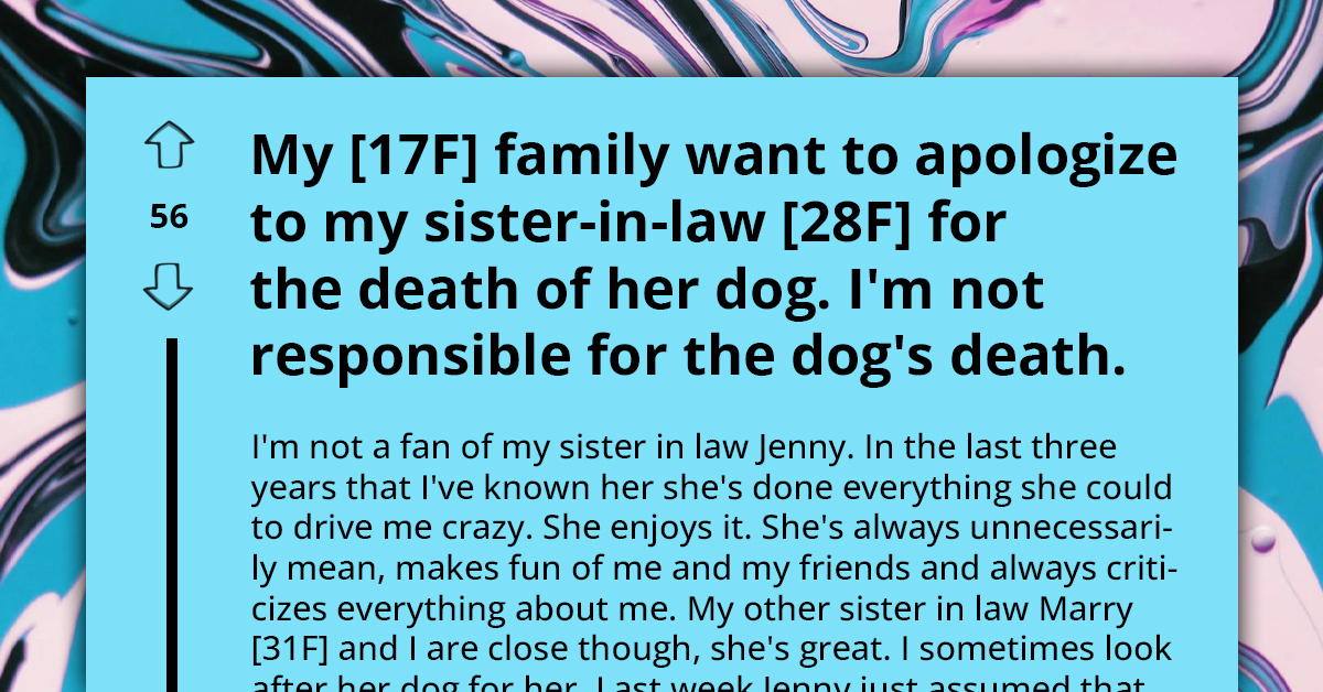 Teen Refuses Petsitting For Toxic Sister-In-Law, Later Gets Blamed For Dog's Tragic Death