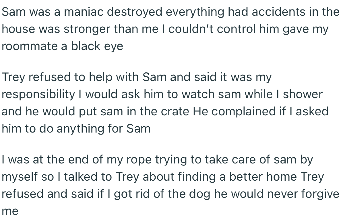 OP decided that the best option would be to find the dog a new home. Unfortunately for her, Trey vehemently refused this suggestion