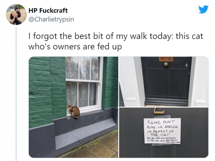 4. The owners put up a sign informing people that they don't have to knock because their cat can go through its own side door.