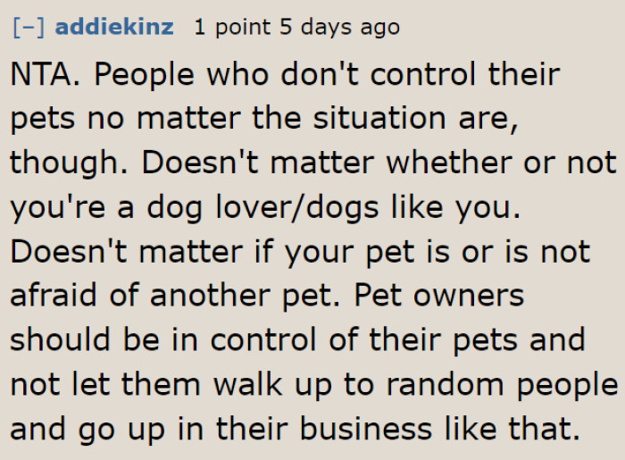 It's the pet owners who are wrong for not stopping their pets from bothering other animals.