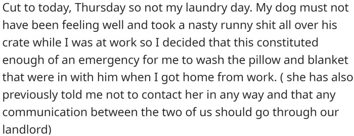 One day, when it was not OP's laundry day, they had to wash their dog's soiled pillow and blanket due to an emergency.