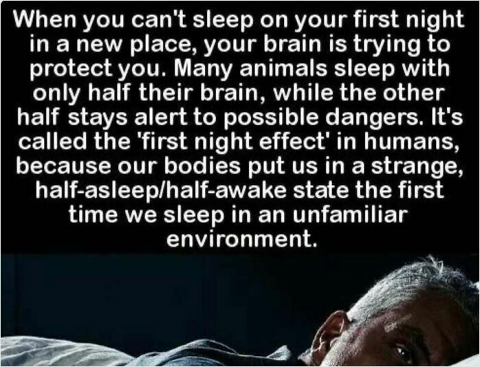 17. The first night effect