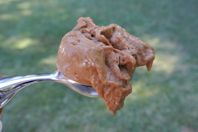 2. Cinnamon Carob Ice Cream: Who needs chocolate when you have carob? This is for the sophisticated canine who enjoys the finer things in life. Your dog might start preferring lattes next.