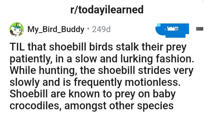 Meet u/My_Bird_Buddy, a Redditor who has shared an interesting piece of information with the TodayILearned subreddit community