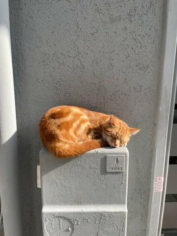 1. I fit in wherever