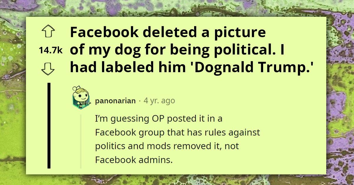 Facebook Reportedly Deletes Photo Of Dog That Resembles Donald Trump, People React