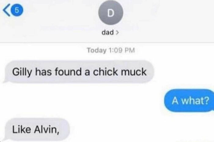 19. Alvin And The Chick Mucks