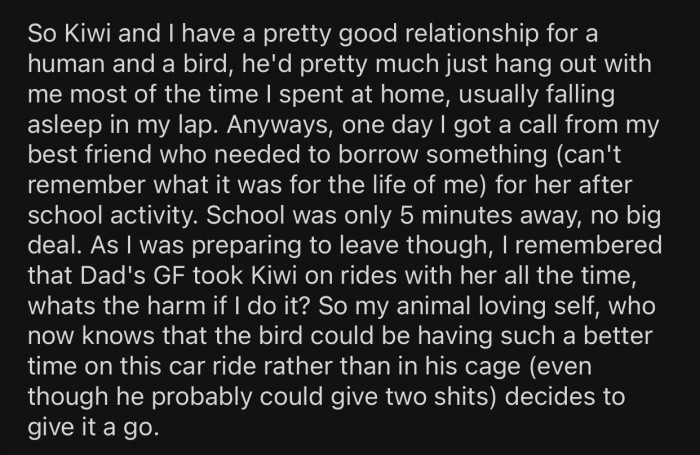 Op decided to bring one bird along with them on a ride.