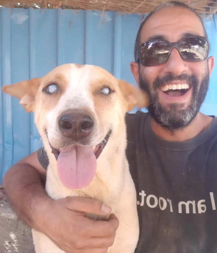 That is where Ahmed met Arafa, a blind homeless dog seeking shelter