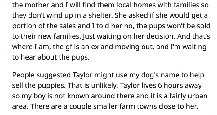 OP told Taylor she has two options: surrender the puppies so OP can find them a home or OP will sue her for theft of service