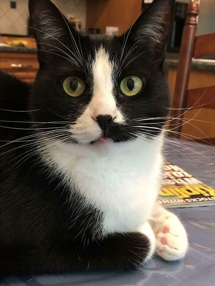 19. The Teeniest Of Bleps Whilst Loafing