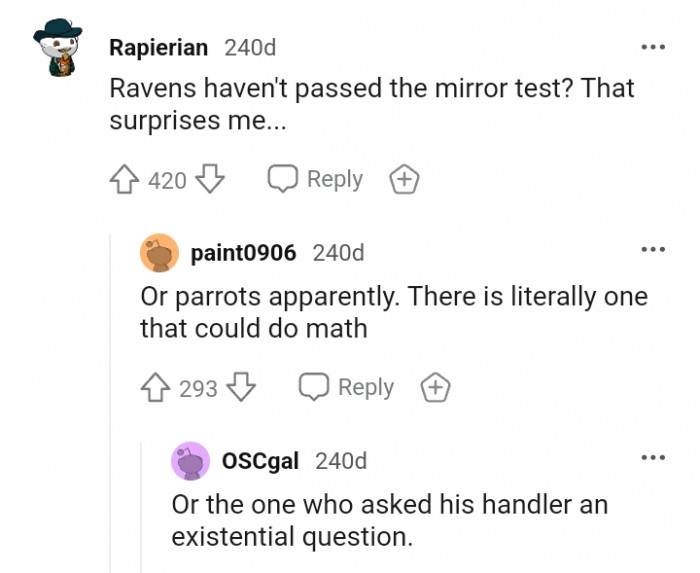 So parrots didn't pass the mirror test?