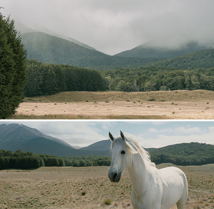 10. Gandalf Calls Shadowfax (Mavora Lakes Rd.)