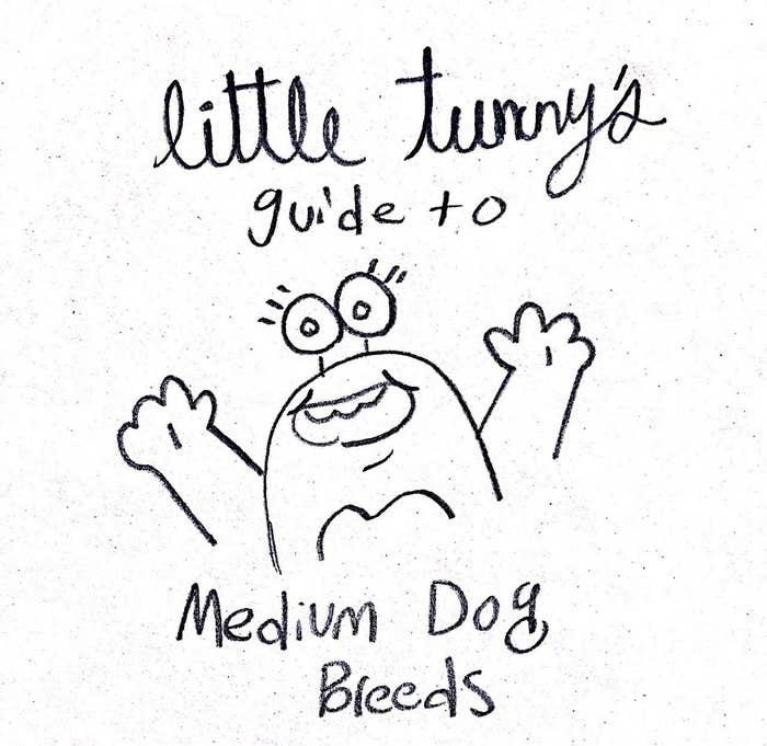 Funny Dog Breed Illustrations And Descriptions Are Memorable And Will