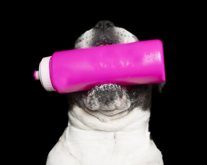 7. Dozer And The Pink Water Bottle