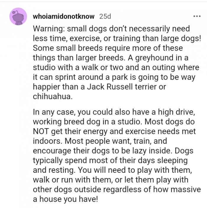 Redditor Planning To Adopt A Dog Wonders If The Home Is Spacious Enough