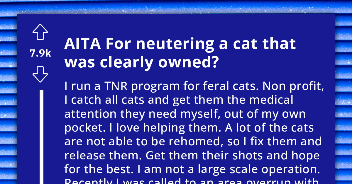 Rogue-Cat Rescuer Sparks Outrage With Audacious Act Of Neutering A Beloved Pet Without Owner's Approval