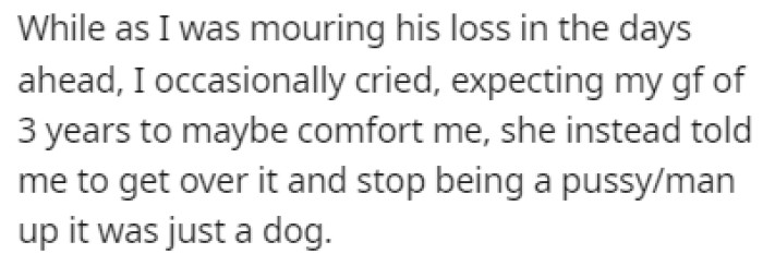 OP was mourning the loss of his dog which was a few days ahead