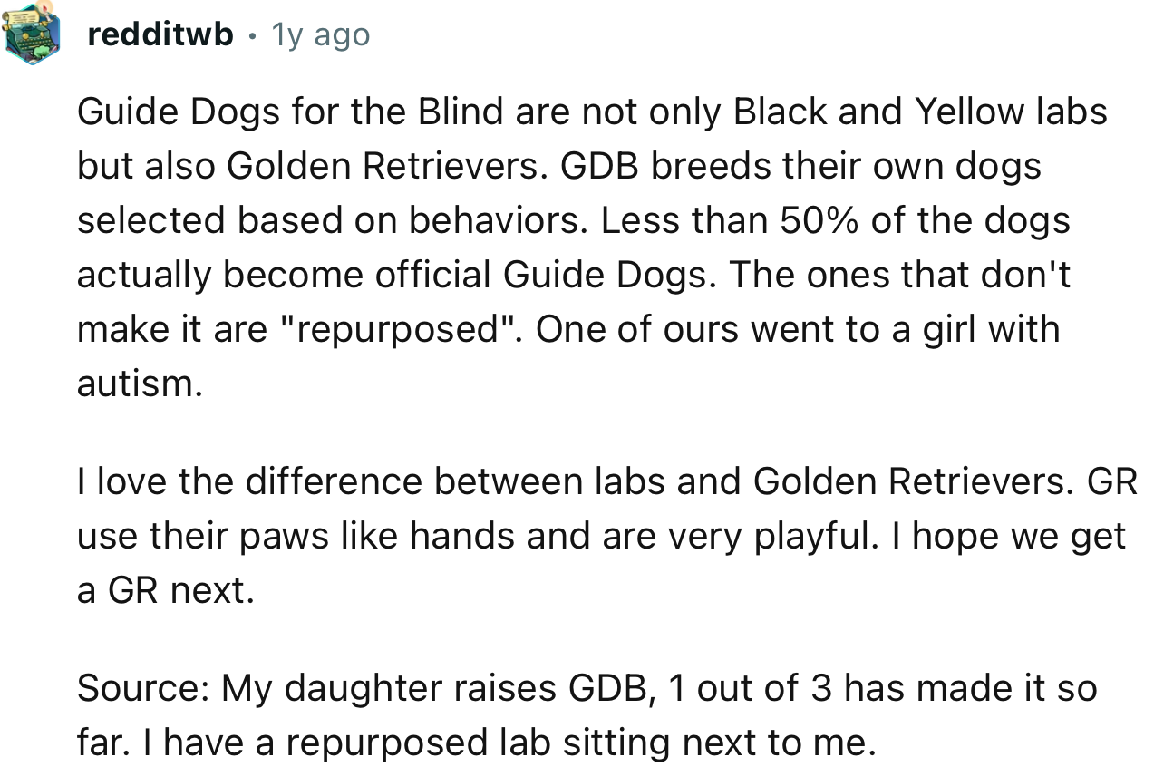 “Guide Dogs for the Blind are not only Black and Yellow labs but also Golden Retrievers.”