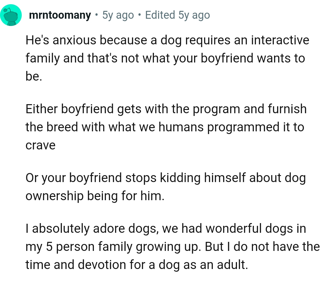 A dog requires an interactive family