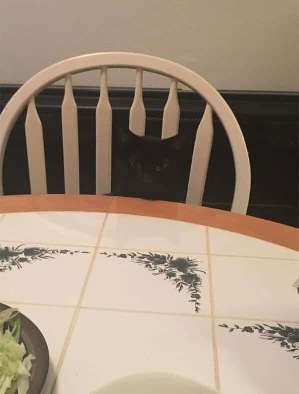 Dining in stealth mode