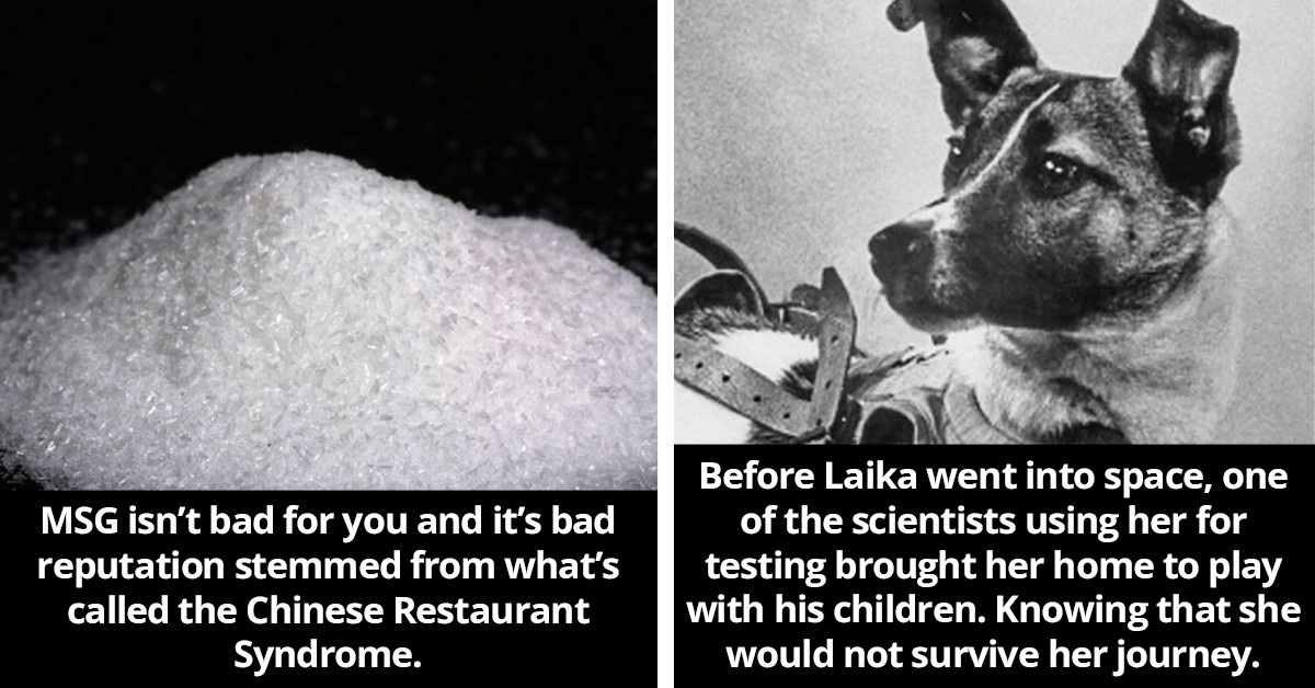 People Share 40 Interesting "Today I Learned" Facts That Have Changed Everything For Them