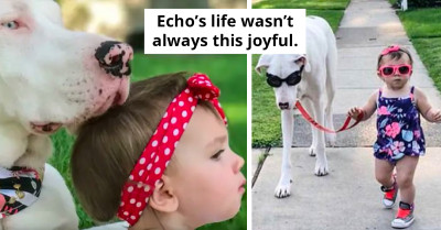 Adorable Video Captures Toddler Taking Disabled Dog For A Walk, Winning Over the Internet