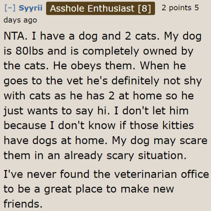 A vet's office isn't the best place for pets to make friends.